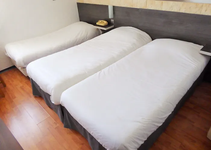 Hotel Eco Relais - Pau Nord *